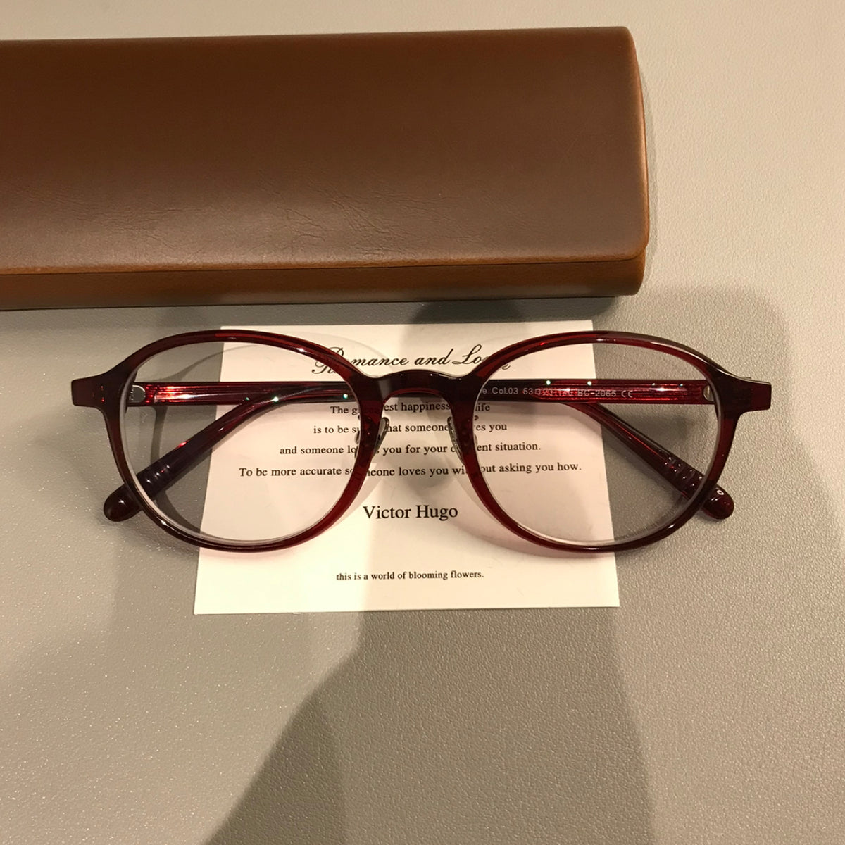 Oval Eyeglass Frames with a Thick Upper Rim, Black, Burgundy or Tortoiseshell