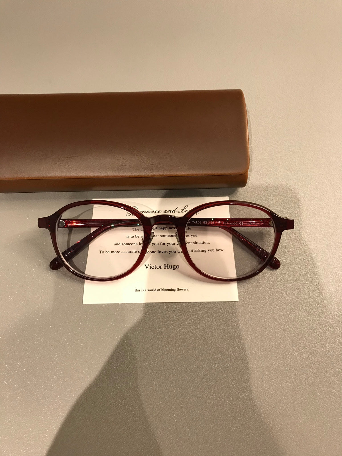 Oval Eyeglass Frames with a Thick Upper Rim, Black, Burgundy or Tortoi lens detail